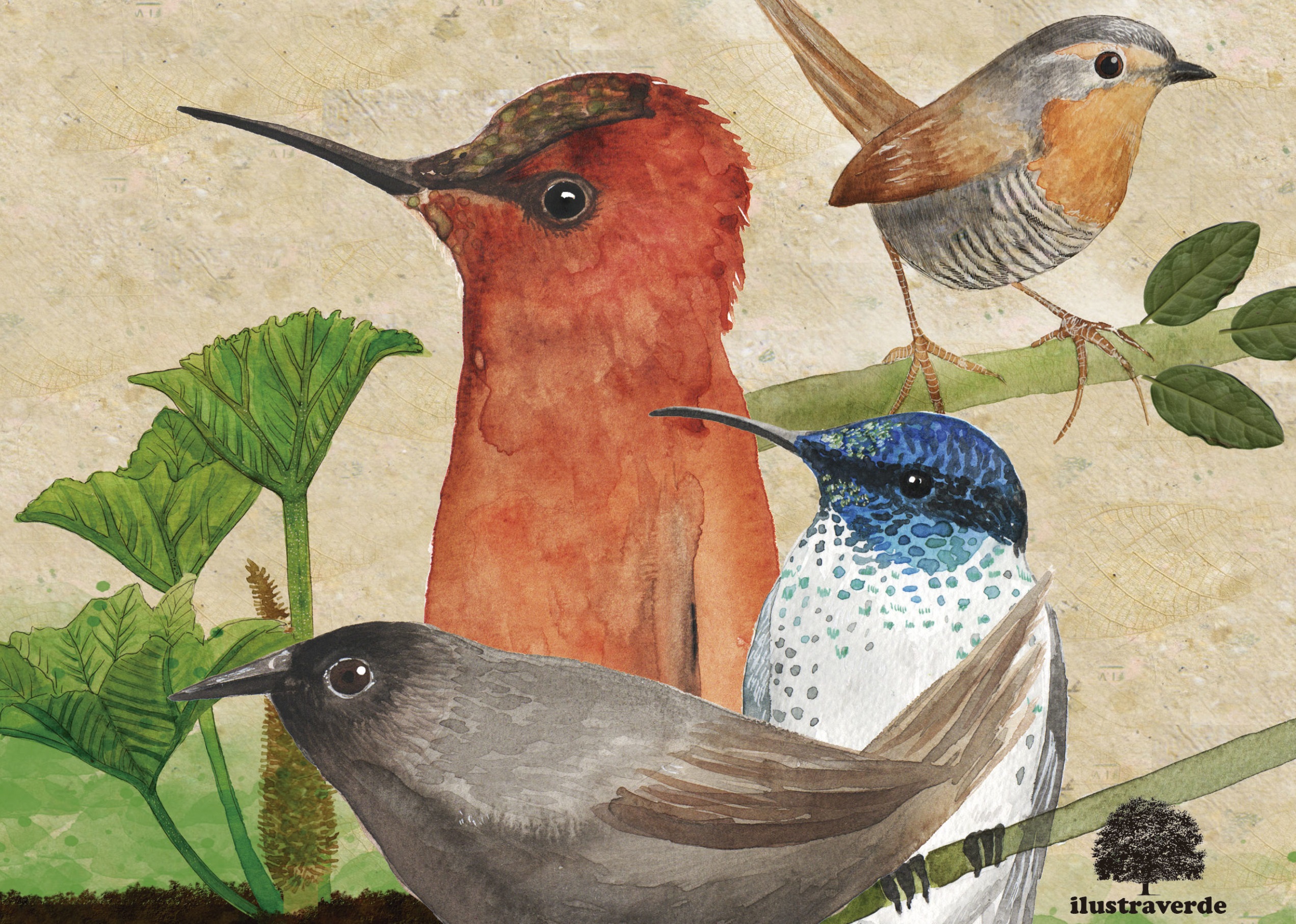 Libro sobre aves endémicas de Chile se presentará este jueves en Centex